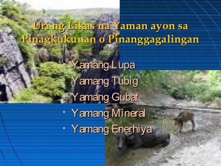 pangangalaga sa likas na yaman slogan pangangalaga sa yamang tubig